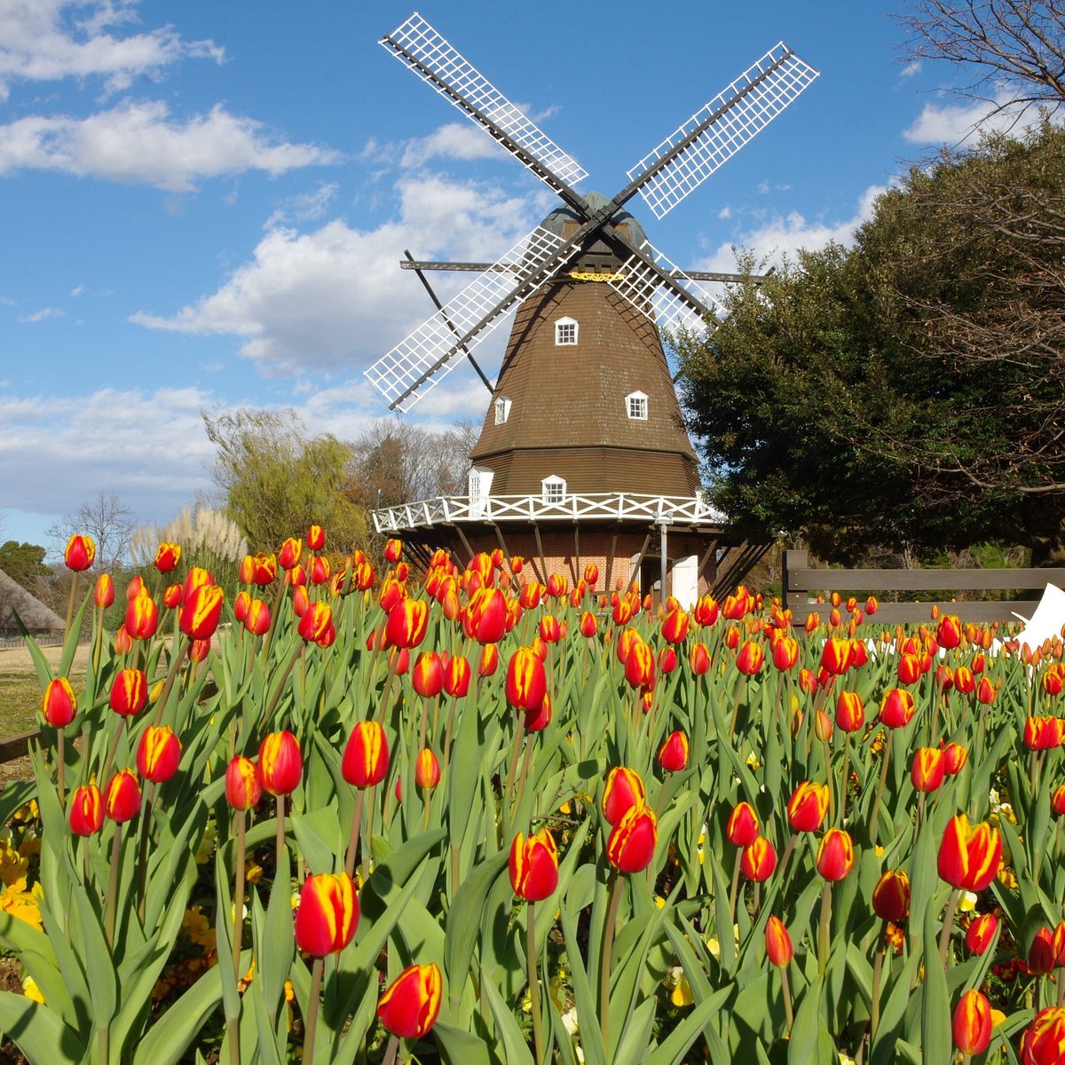 🌳 후나바시 안데르센 공원(후나바시 안데루센 코엔) 이미지 6